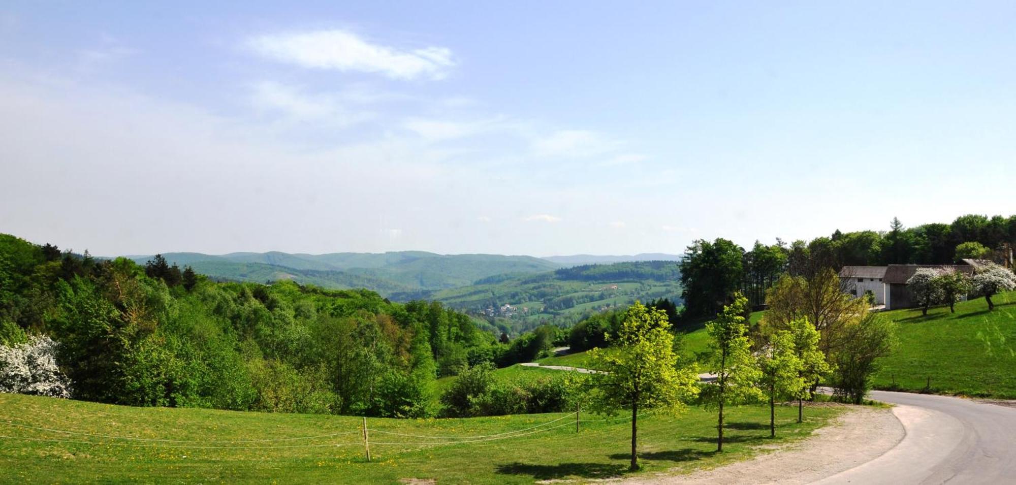 Wienerwaldhof Rieger Tullnerbach-Lawies Exteriér fotografie