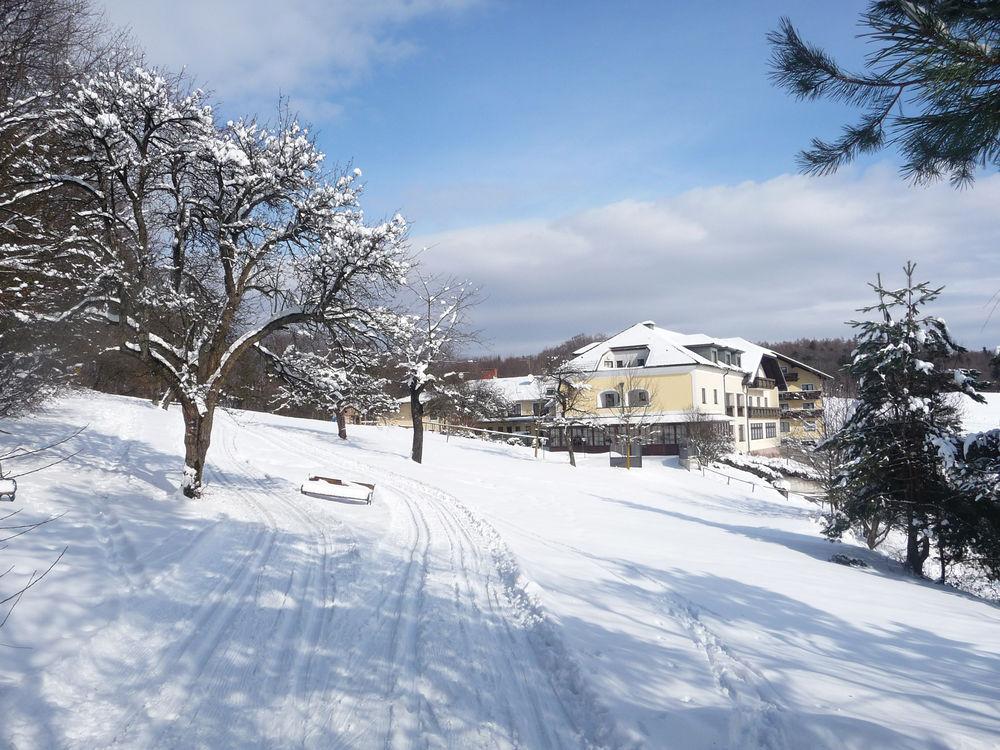 Wienerwaldhof Rieger Tullnerbach-Lawies Exteriér fotografie