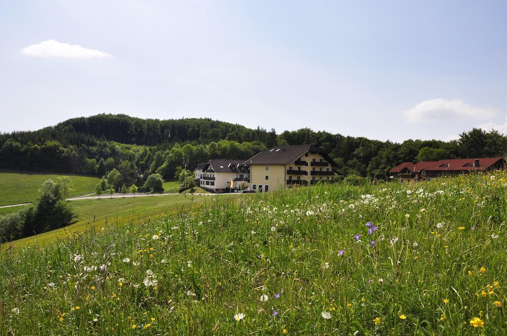 Wienerwaldhof Rieger Tullnerbach-Lawies Exteriér fotografie