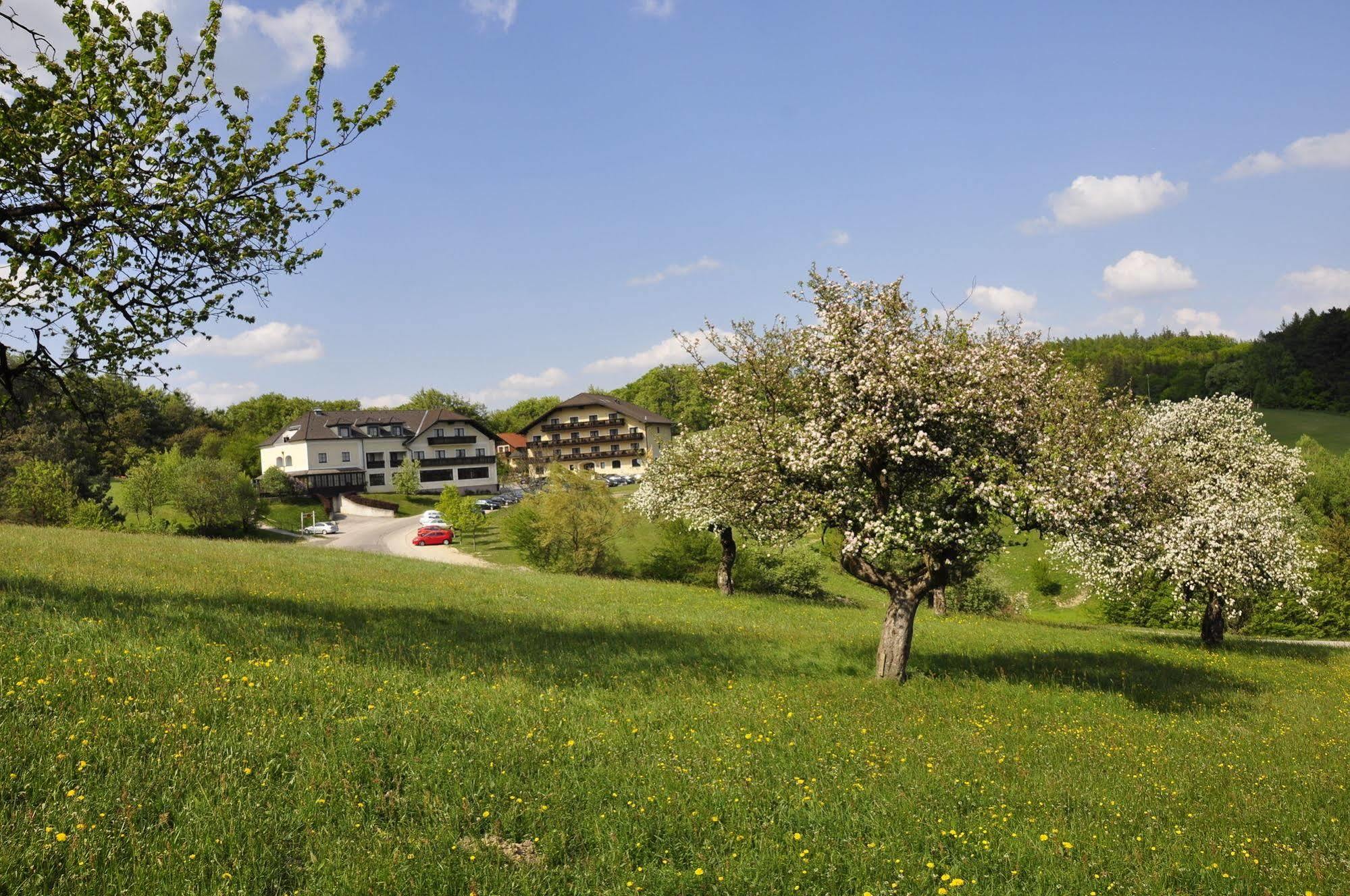 Wienerwaldhof Rieger Tullnerbach-Lawies Exteriér fotografie